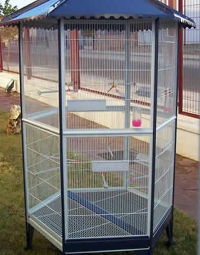 flight cages for small birds